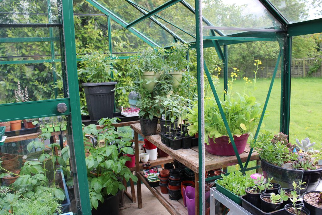 Relative humidity control in protected structures such as greenhouses.